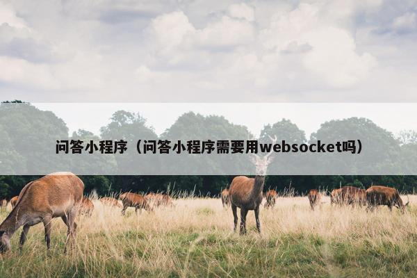 问答小程序（问答小程序需要用websocket吗）