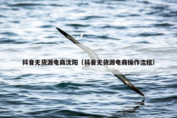 抖音无货源电商沈阳（抖音无货源电商操作流程）