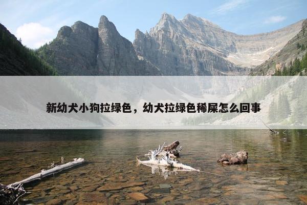 新幼犬小狗拉绿色，幼犬拉绿色稀屎怎么回事