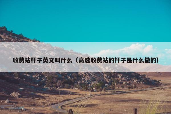 收费站杆子英文叫什么（高速收费站的杆子是什么做的）