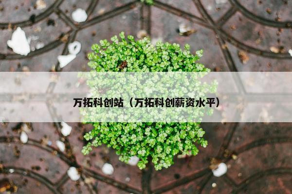 万拓科创站（万拓科创薪资水平）