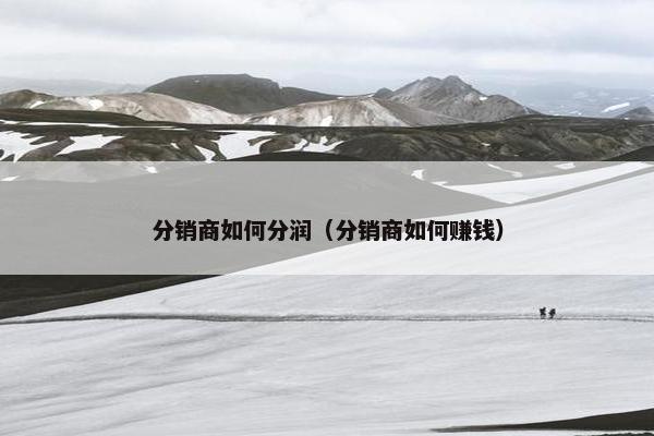 分销商如何分润（分销商如何赚钱）