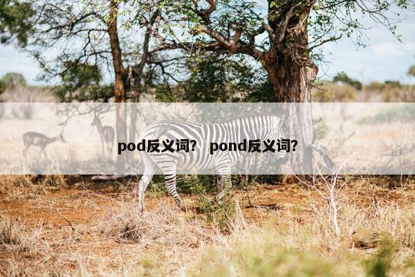 pod反义词？ pond反义词？