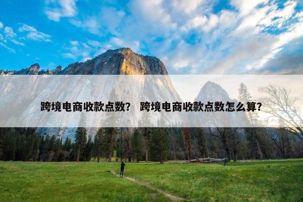 跨境电商收款点数？ 跨境电商收款点数怎么算？