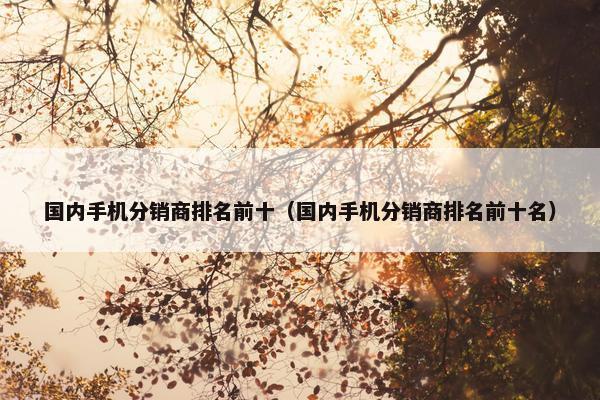 国内手机分销商排名前十（国内手机分销商排名前十名）