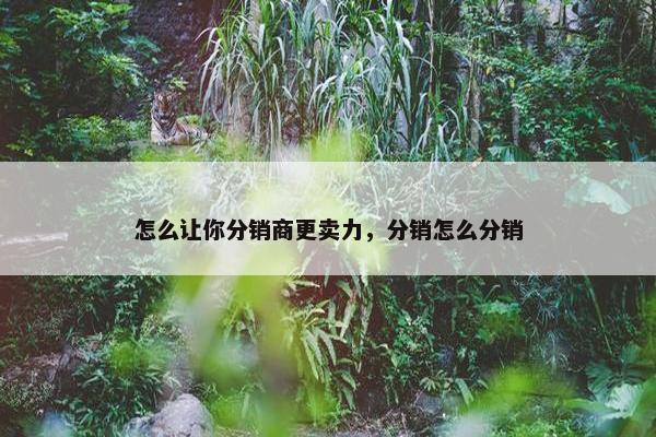 怎么让你分销商更卖力，分销怎么分销