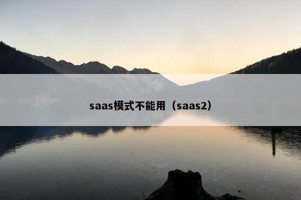 saas模式不能用（saas2）