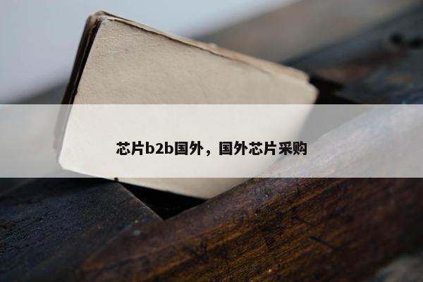 芯片b2b国外，国外芯片采购