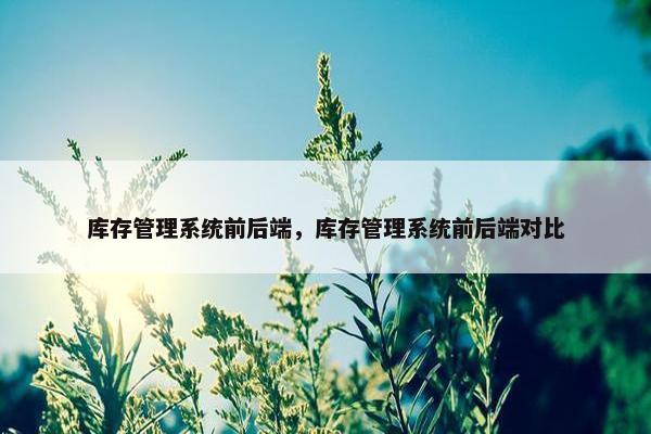 库存管理系统前后端，库存管理系统前后端对比