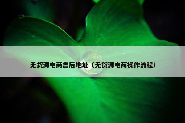 无货源电商售后地址（无货源电商操作流程）
