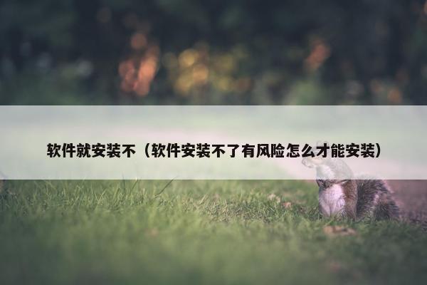 软件就安装不（软件安装不了有风险怎么才能安装）
