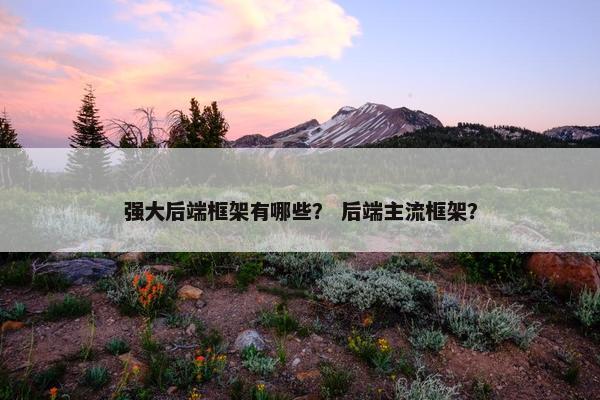 强大后端框架有哪些？ 后端主流框架？
