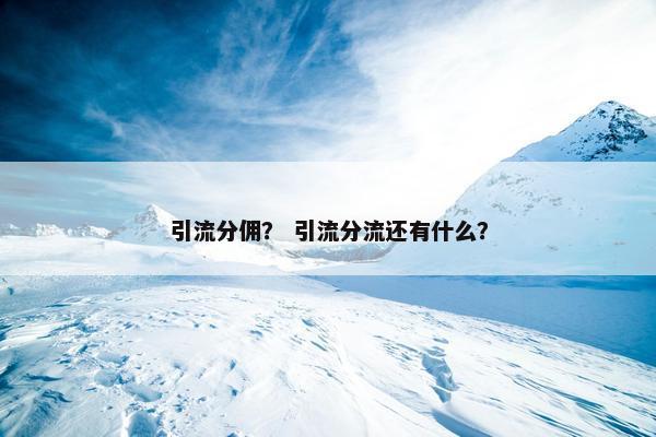 引流分佣？ 引流分流还有什么？