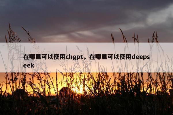 在哪里可以使用chgpt，在哪里可以使用deepseek
