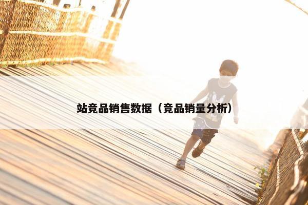 站竞品销售数据（竞品销量分析）
