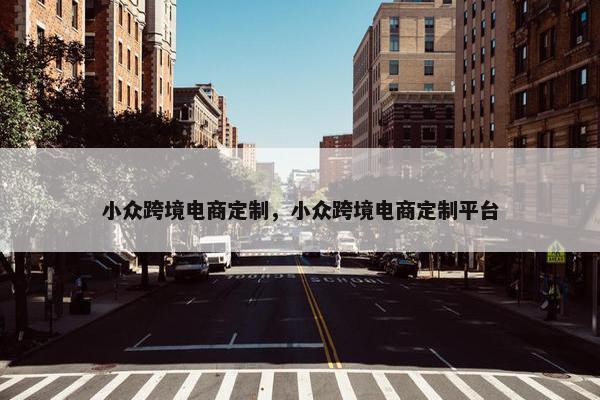 小众跨境电商定制，小众跨境电商定制平台