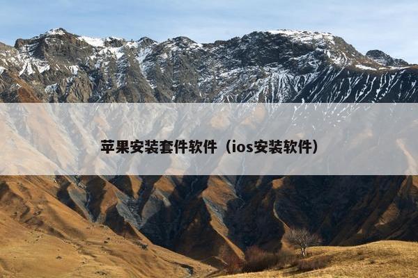 苹果安装套件软件（ios安装软件）
