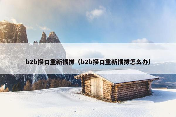 b2b接口重新插拔（b2b接口重新插拔怎么办）