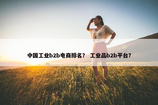 中国工业b2b电商排名？ 工业品b2b平台？