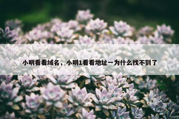 小明看看域名，小明1看看地址一为什么找不到了