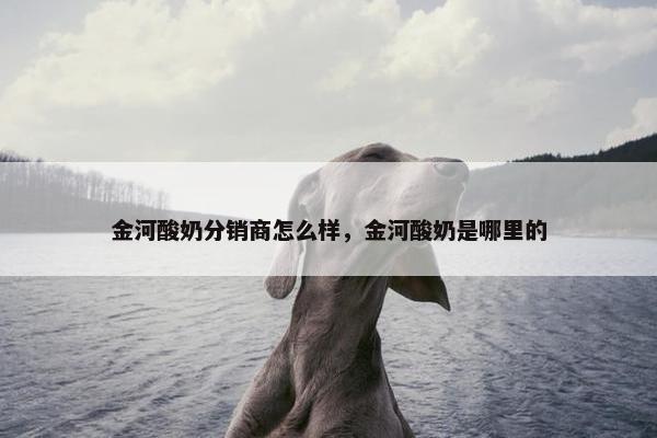 金河酸奶分销商怎么样，金河酸奶是哪里的
