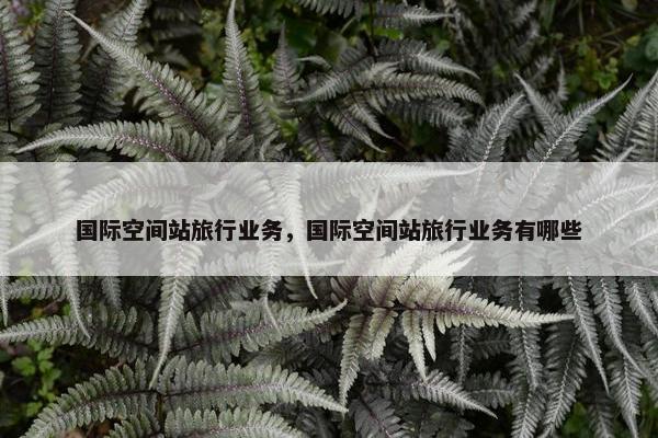 国际空间站旅行业务，国际空间站旅行业务有哪些