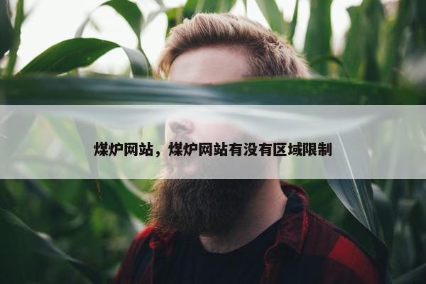 煤炉网站，煤炉网站有没有区域限制