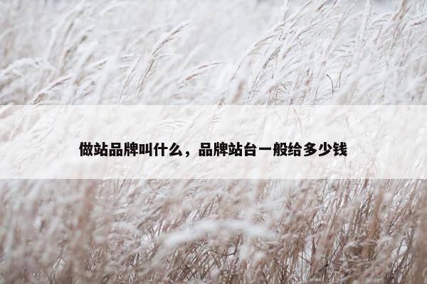 做站品牌叫什么，品牌站台一般给多少钱