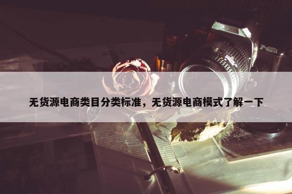 无货源电商类目分类标准，无货源电商模式了解一下