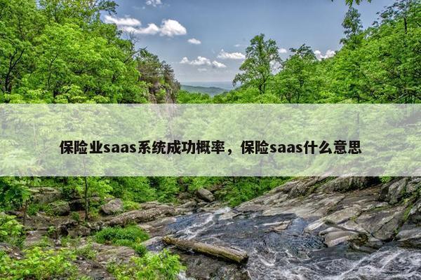 保险业saas系统成功概率，保险saas什么意思