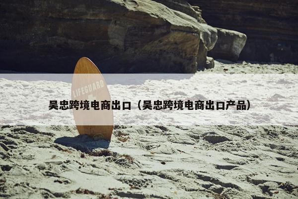 吴忠跨境电商出口（吴忠跨境电商出口产品）