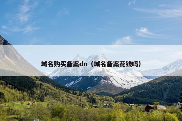 域名购买备案dn（域名备案花钱吗）
