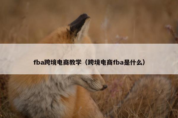 fba跨境电商教学（跨境电商fba是什么）