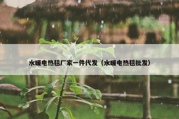 水暖电热毯厂家一件代发（水暖电热毯批发）