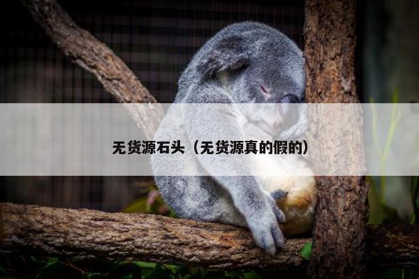 无货源石头（无货源真的假的）