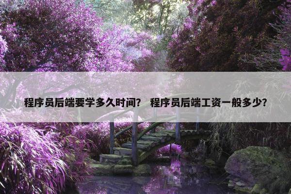 程序员后端要学多久时间？ 程序员后端工资一般多少？