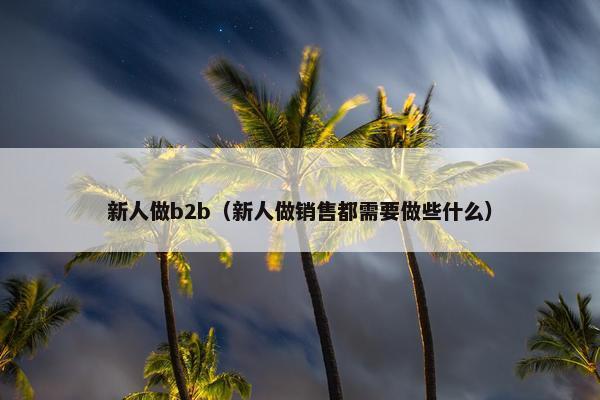 新人做b2b（新人做销售都需要做些什么）