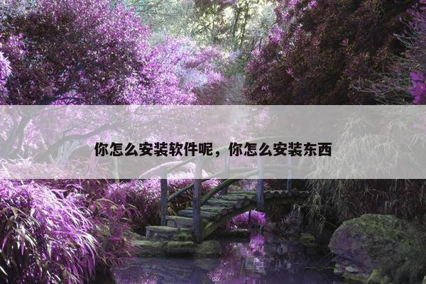 你怎么安装软件呢，你怎么安装东西