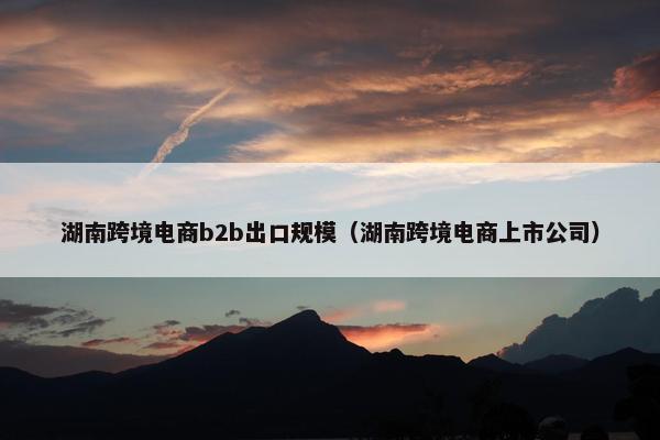 湖南跨境电商b2b出口规模（湖南跨境电商上市公司）