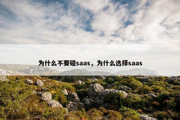 为什么不要碰saas，为什么选择saas