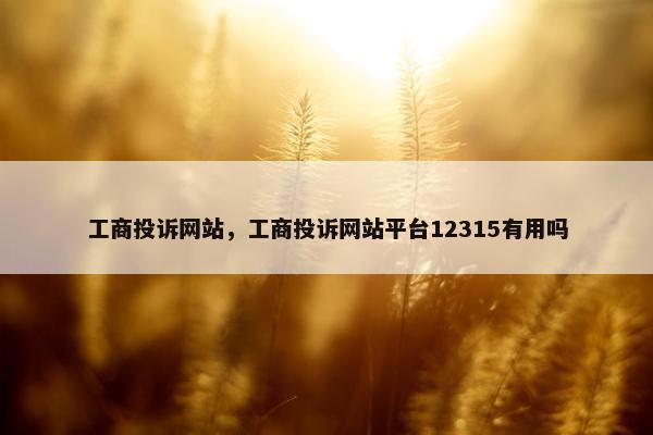 工商投诉网站，工商投诉网站平台12315有用吗