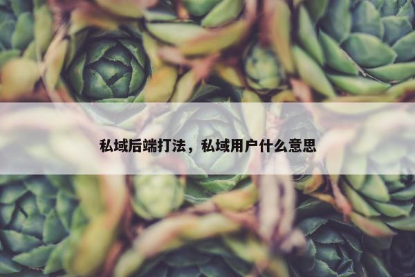 私域后端打法，私域用户什么意思