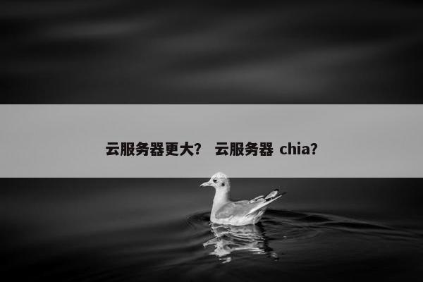 云服务器更大？ 云服务器 chia？
