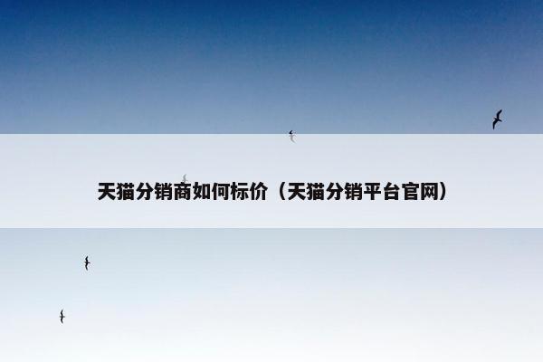 天猫分销商如何标价（天猫分销平台官网）