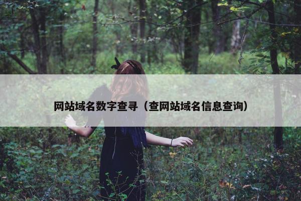 网站域名数字查寻（查网站域名信息查询）