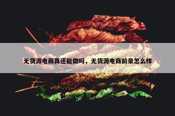 无货源电商真还能做吗，无货源电商前景怎么样