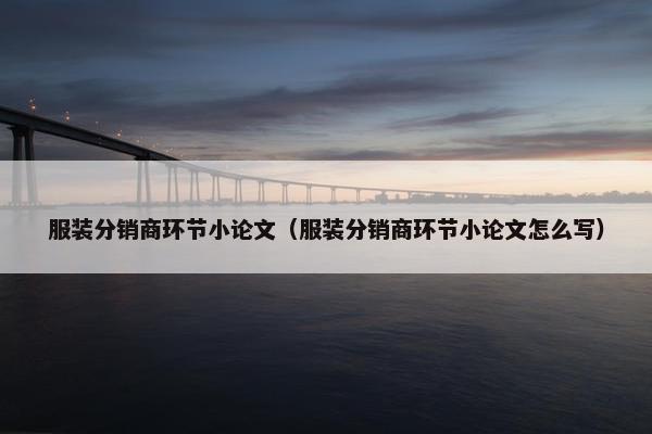服装分销商环节小论文（服装分销商环节小论文怎么写）