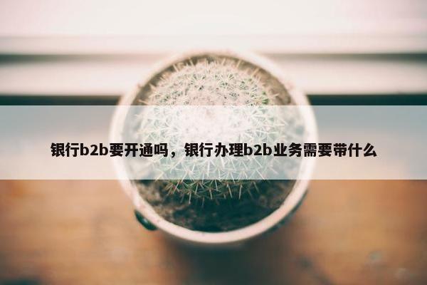 银行b2b要开通吗，银行办理b2b业务需要带什么