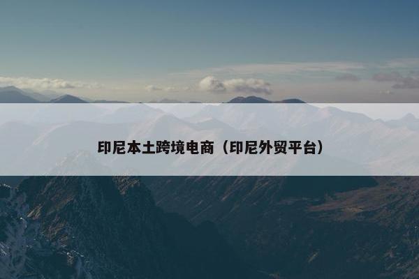 印尼本土跨境电商（印尼外贸平台）