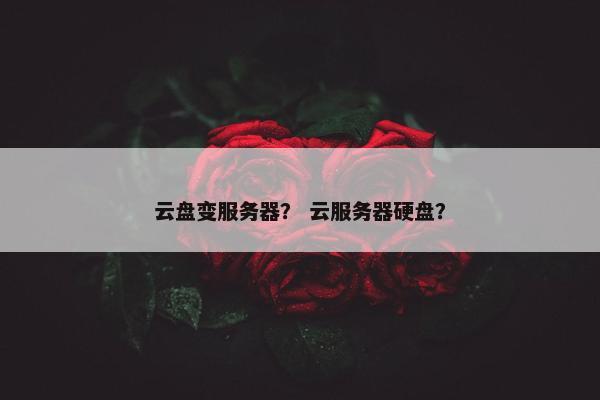 云盘变服务器？ 云服务器硬盘？